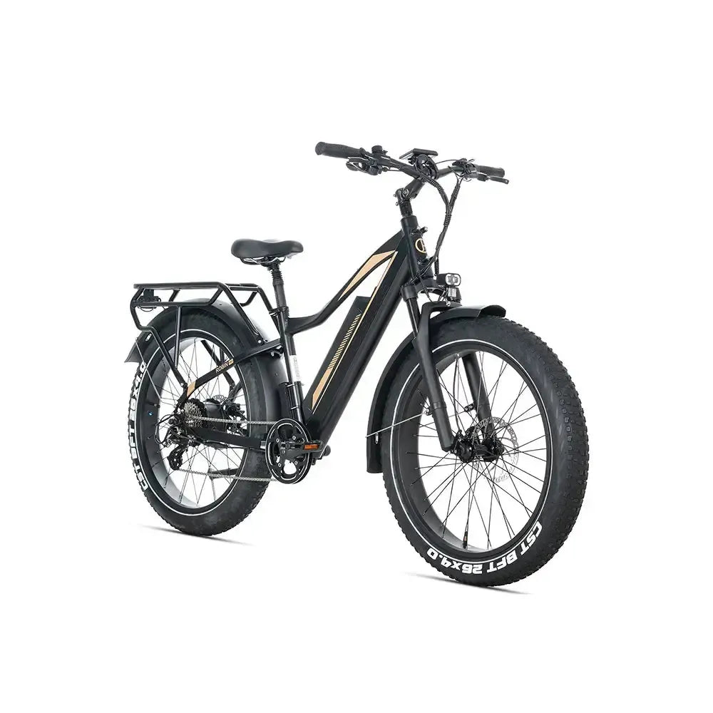 JOBOBIKE Robin Pro - Noir-or