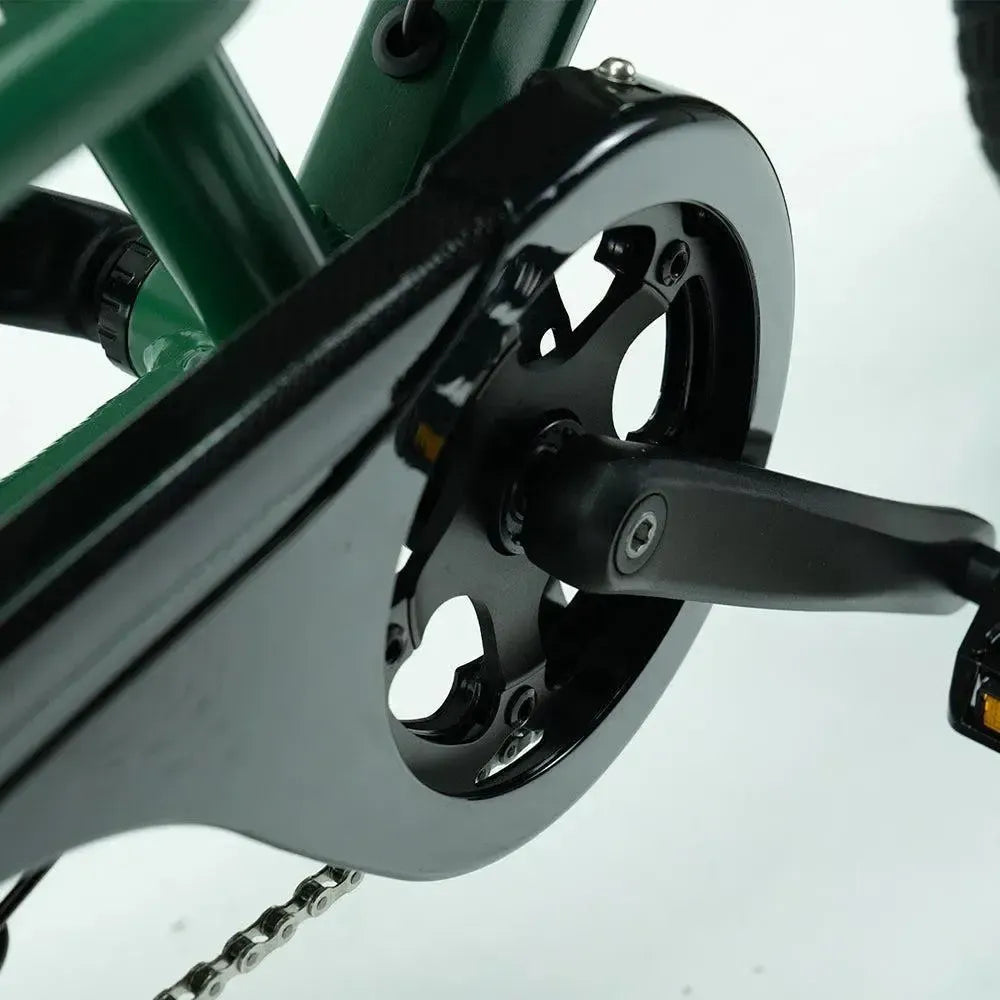 JOBOBIKE Transer - Longtail - Verde