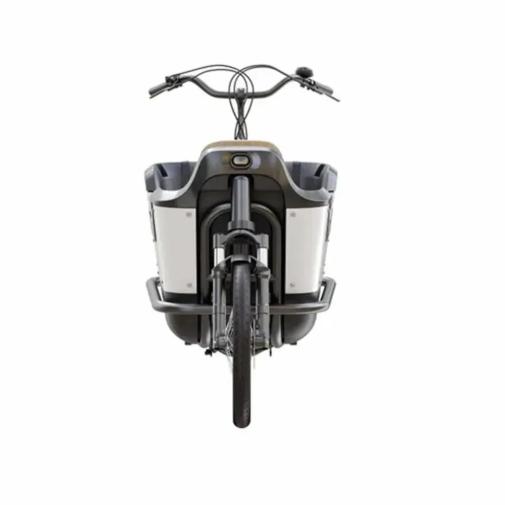 Royal Cargo Bike 2W Premium - Vert