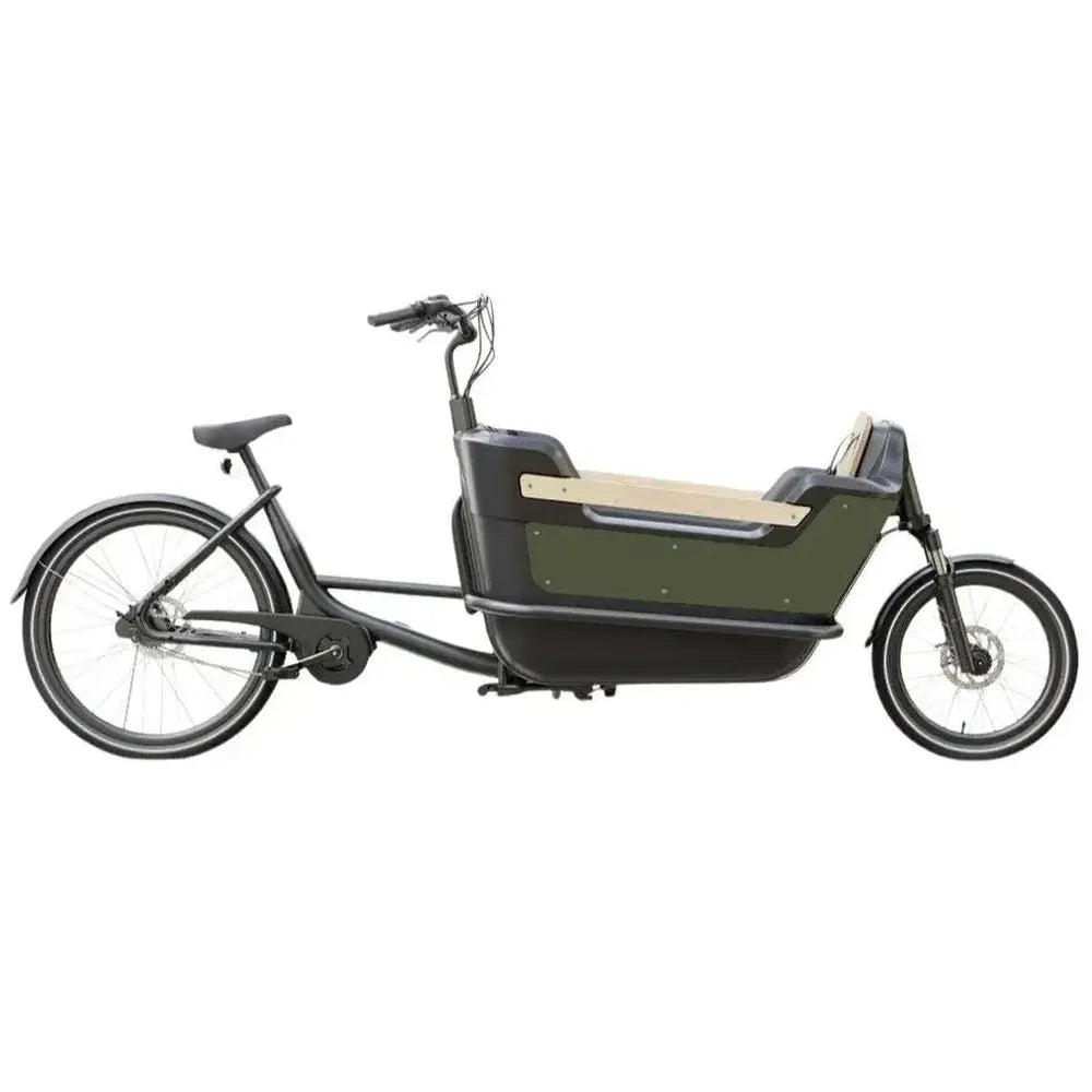 Royal Cargo Bike 2W Premium Plus - Grün