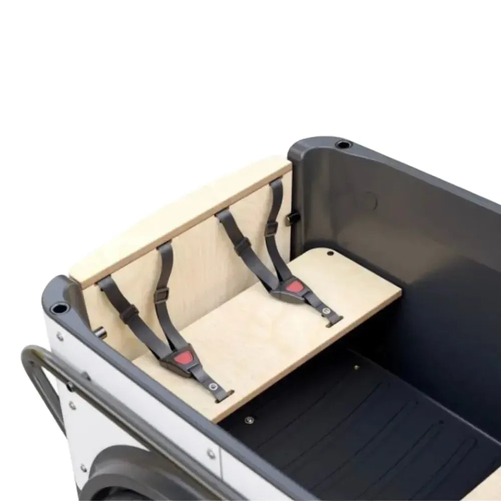 Royal Cargo Bike 3W Eco - Grün