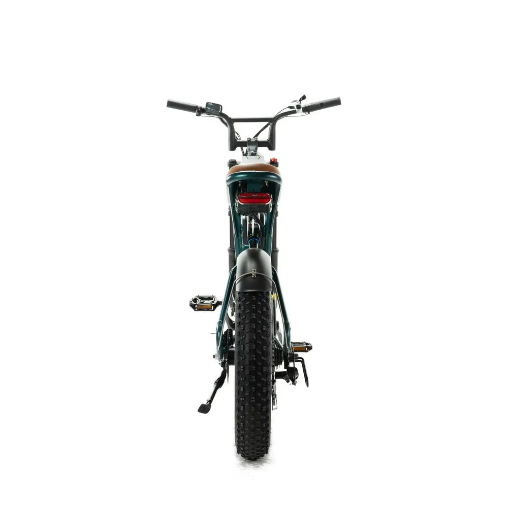 ENGWE M20 - Doppia Batteria - Verde