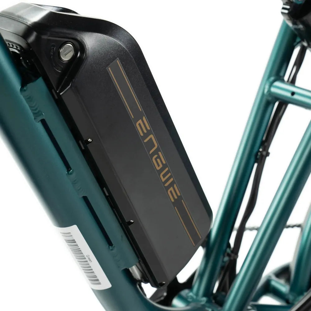 ENGWE M20 - Verde