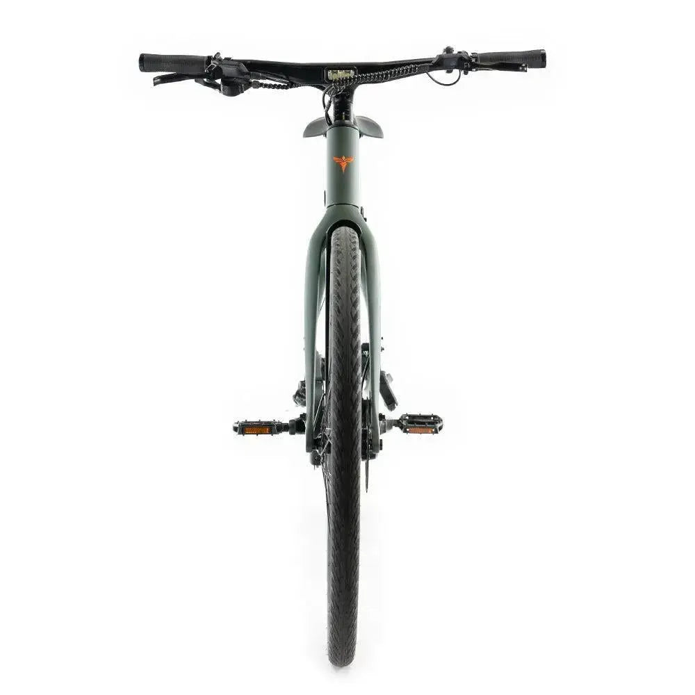 ENGWE Mapfour N1 Pro - Vert