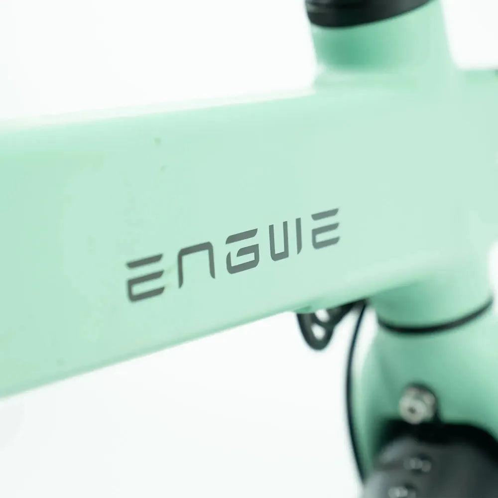 ENGWE P20 - Verde