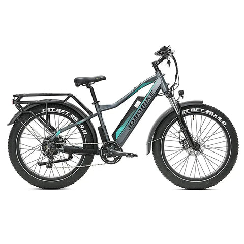 JOBOBIKE Robin - Gris/Vert