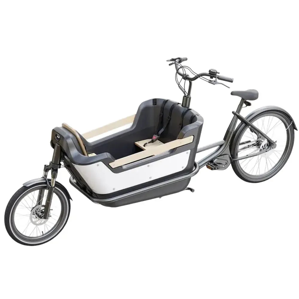 Royal Cargo Bike 2W Premium - Vert