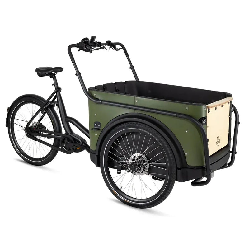Royal Cargo Bike 3W Premium - Vert